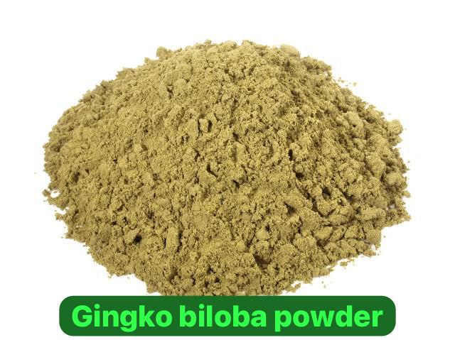 Gingko biloba powder
